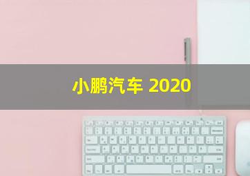 小鹏汽车 2020